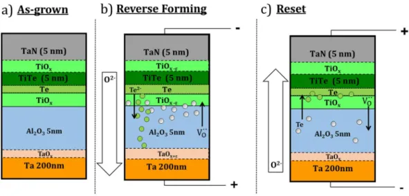 Figure 6.  Schematic of the (a) as-grown sample and the redox processes and matter transport taking place  during (b) forming and (c) reset in the TaN/TiTe/Al 2 O 3 /Ta stack.