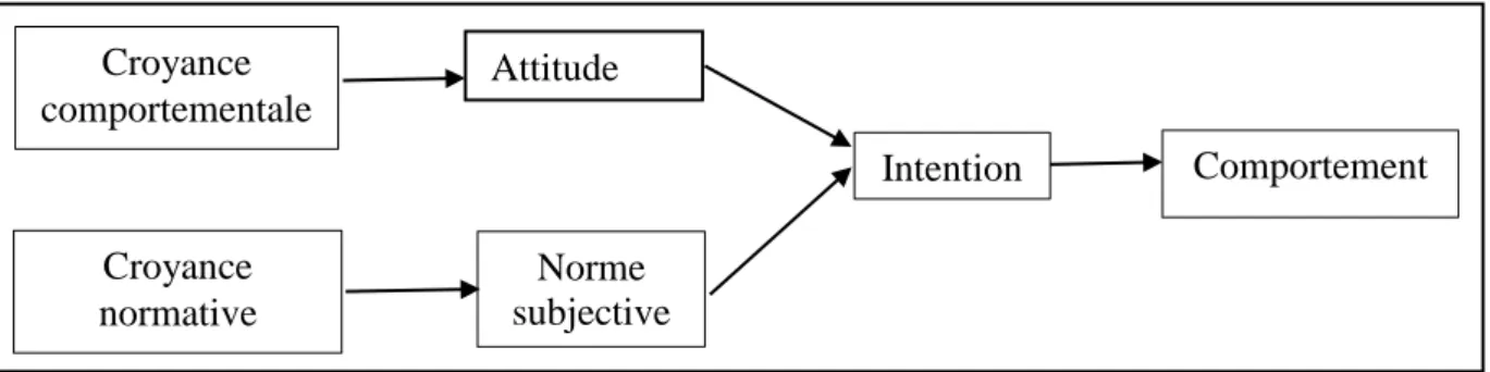 Figure 7 : La théorie de l’action raisonnée 