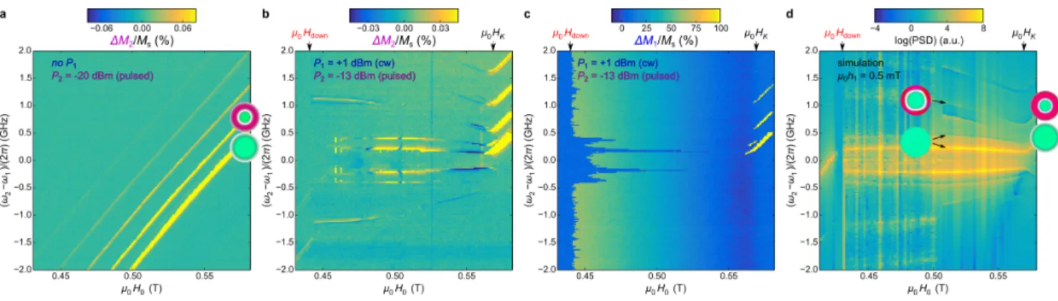 FIG. 2. Nutation of magnetization. (a,b) Principle of the experiment. A low power pulse modulated microwave field h 2 of pulsation ω 2 is added to the main pumping cw field h 1 