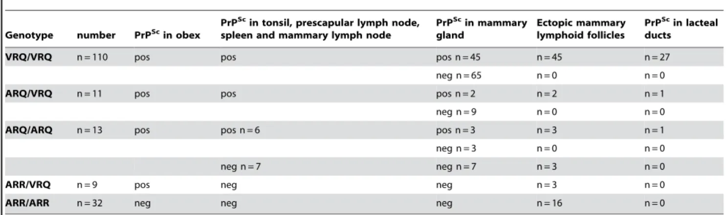 Table 1. PrP Sc in central nervous system, lympho-reticular system, mammary gland and milk duct lumen of natural scrapie exposed ewes bearing various genotypes at codons 136, 154 and 171 of the PRP gene.