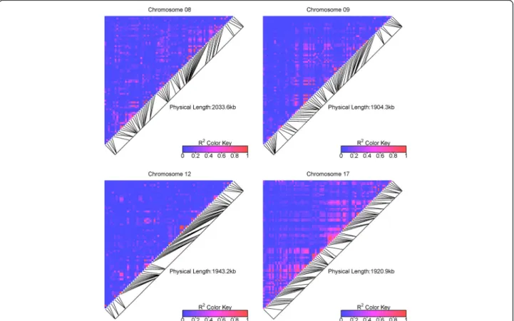 Fig. 5 Heatmaps of genotypic LD ( r 2 VS ) in four genomic regions in the whole association panel