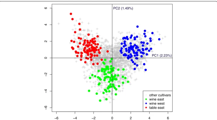 Fig. 2 PCA analysis based on 20 SSRs for comparing the association panel with the whole Vassal collection