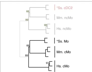 FigUre 7 | completing homology assignment of pig cDc2 Dc  candidate to non-classical Mo subset by unsupervised cross-species  hierarchical clustering focused on Mo subsets