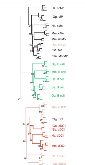 FigUre 8 | Unsupervised cross-species hierarchical clustering  including a chicken dataset demonstrates a conserved organization  of vertebrate mononuclear phagocytes in the two main lineages of  Mo/MP vs