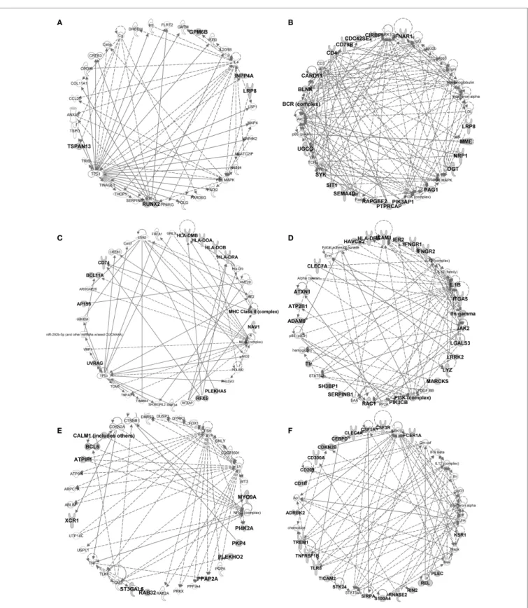 FigUre 9 | iPa gene interaction networks of the conserved signatures  in subsets of the Dc lineage