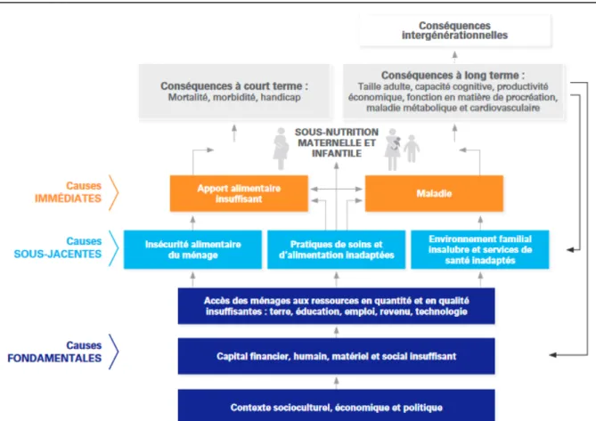 Figure 3 : Cadre conceptuel des facteurs déterminants de la sous-nutrition infantile