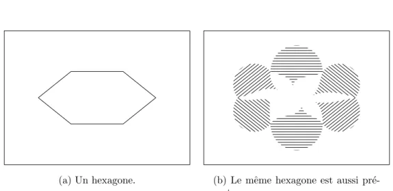 Fig. 1.2 – Camouflage d’un hexagone. L’hexagone de la figure de gauche est