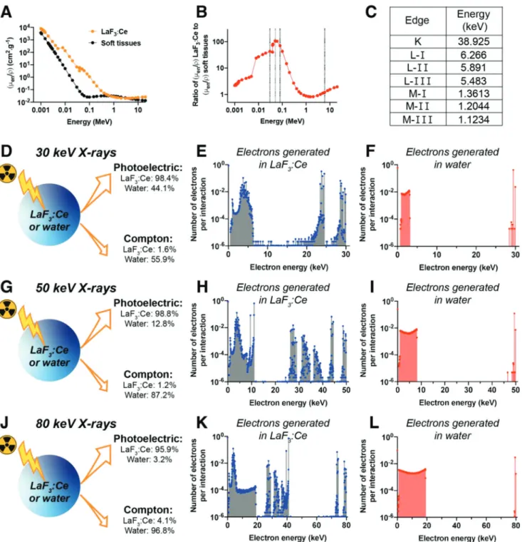 Figure 2. In silico simulations of the interactions between orthovoltage X-ray photons and LaF 3 :Ce