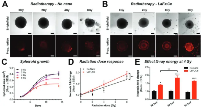 Figure 4. LaF 3 :Ce nanoscintillators induce a radiation dose-enhancement eﬀect in vitro on F98 spheroids