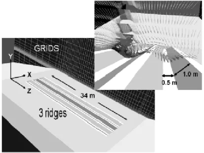 Fig. 2. Overview and detail of three ridges (255 m²) of the large scale condenser (India) as modeled  in the virtual reality PHOENICS viewer