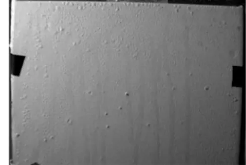 Figure 9 Edge effects on dew water collection. Drops are larger on the edge where they induce avalanches (rivulets) when sliding down