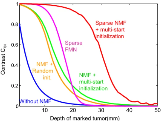 Fig. 6. Experiment on mouse; left: two capillary tubes filled with fluorescent markers simulate marked tumors, right:
