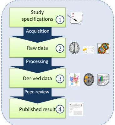 Figure 1 The four stages of a BMI study in neuroscience, with examples of data at every stage: documents of the study at stage  1 ; brain image, exam debriefing, test result, genetics sequence at stage  2 ; graph of brain regions, activation coordinate, st