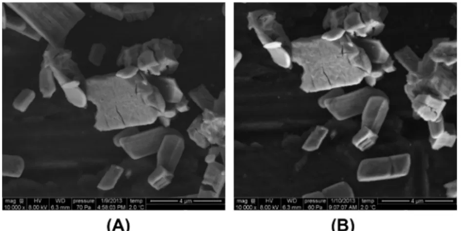 Fig. 6. Top: AFM amplitude images of the ceria samples and bottom: amplitude variation versus surface distance on (A) non-hydrated sample, and (B) sample hydrated with liquid water ex situ during 6 days.