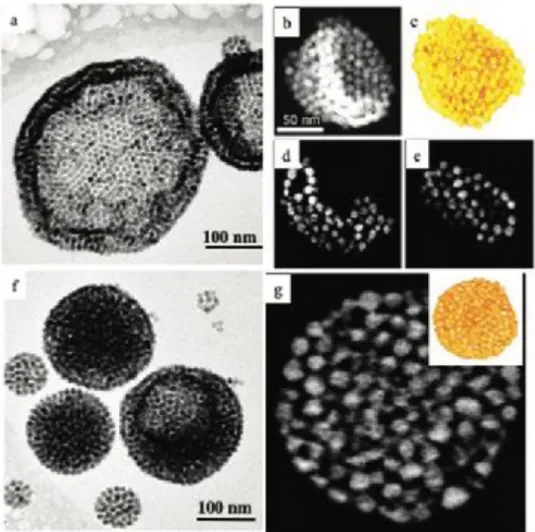Figure 1. Self-assemblies of ferrite nanocrystals: Colloidosomes: a) CryoTEM image in water