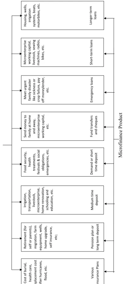 Figure 2.8: An Example of Type of Microfinance Products Used by Poor