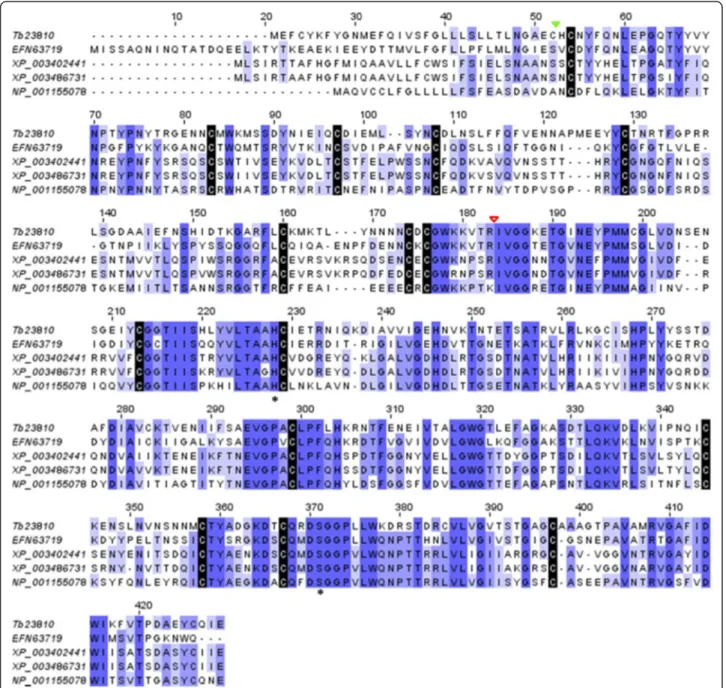 Figure 10 Amino acid sequence alignment of venom serine protease (VSP) from Hymenopteran species