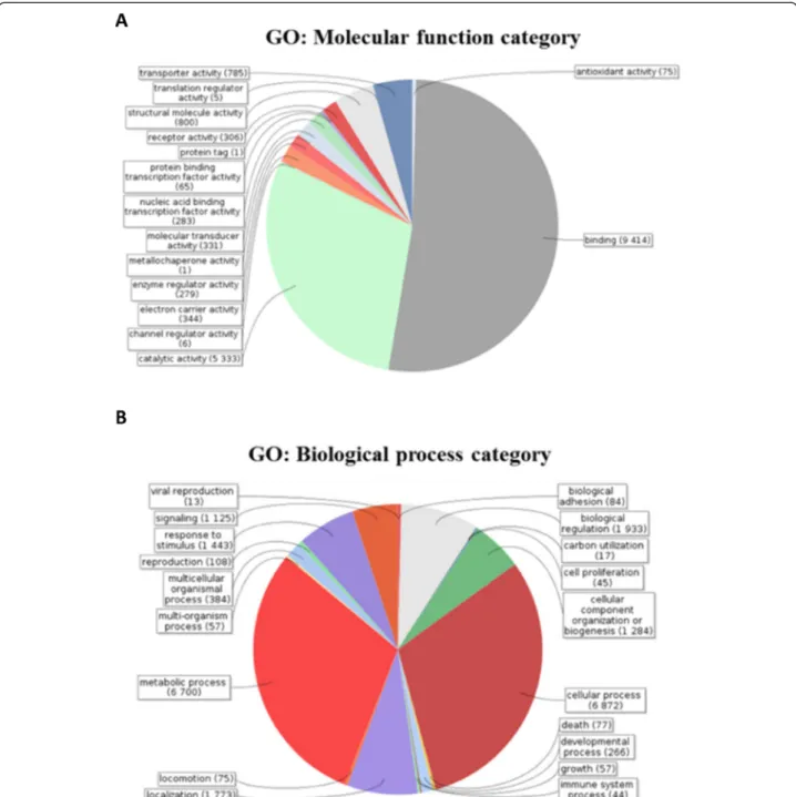 Figure 2 Gene ontology (GO) functional categorization of the generated sequences from T
