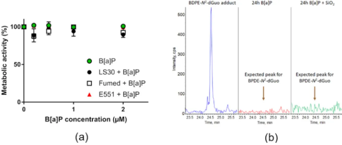 Figure 6. Cyto- and genotoxicity of B[a]P or SiO 2  co-exposed with B[a]P towards RAW264.7 cells