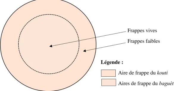 Figure 3 : Aires de jeu du tambour malbar. Schéma : SFP 