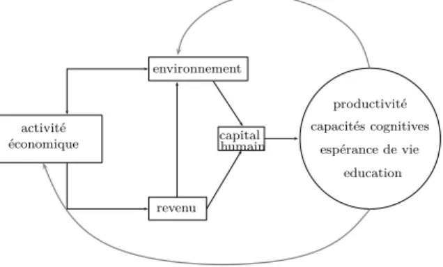 Figure 1: Interactions entre environnement et processus de croissance