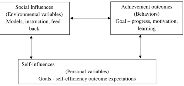 Figure 1. Representation of the relations between the three major factors influencing learning (from Bandura  1977 and Hill 2002)
