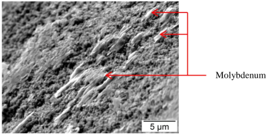 Figure 5: SEM-SE image of fractured surface from batch n°1. A melted area containing only Mo and  is clearly visible