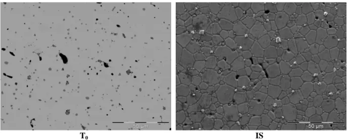 Figure 3: SEM images of samples T 0  and IS 