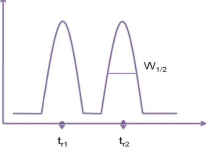 Figure 15 Chromatogramme d’un composé analysé représentant les pics relatifs à l’analyte et  la largeur de mi-hauteur (w1/2) et en abscisse le temps de rétention (tr )