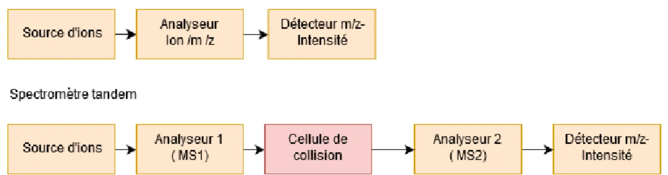 Figure  16  Illustration  de  la  diffèrence  de  configuration  des  éléments  composant  un  spectromètre de masse MS (conventione) et MS/MS (en tandem)