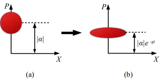 Figure 2.13. – Evolution dans l’espace des phase d’un ´etat coh´erent (a), en un ´etat comprim´e ´ (b), par amplification param´etrique.