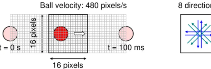 Fig. 1. Characteristics of the computer generated ball trajectories used as input stimuli of the network
