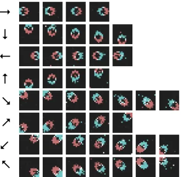 Fig. 5. Weight reconstructions after the learning. The reconstructions are ordered from the earliest neuron activated to the last one for each trajectory, according to the activity recording of figure 4