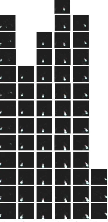 Fig. 7. Neural network topological overview for advanced features learning, directly from data recorded with the AER sensor