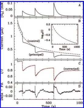 Figure 4. (A) Plot of O 2 concentration against time, calculated using the volume of oxygenated buffer injected in the cell and the time constant of the decay deduced from fitting the data in panel B