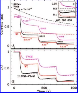 Figure 5A shows the chronoamperograms recorded with wild- wild-type (WT) NiFe hydrogenase (in red), and the L122M-V74M and V74M mutants 5,37 (black and magenta, respectively)