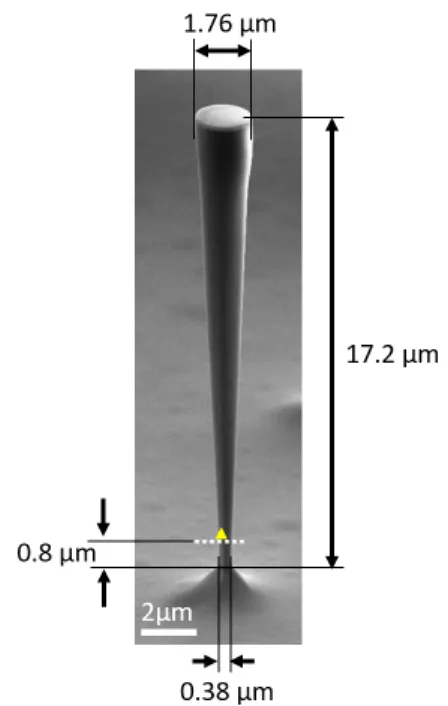 Figure 5: Wire dimensions. The wire is made of GaAs.