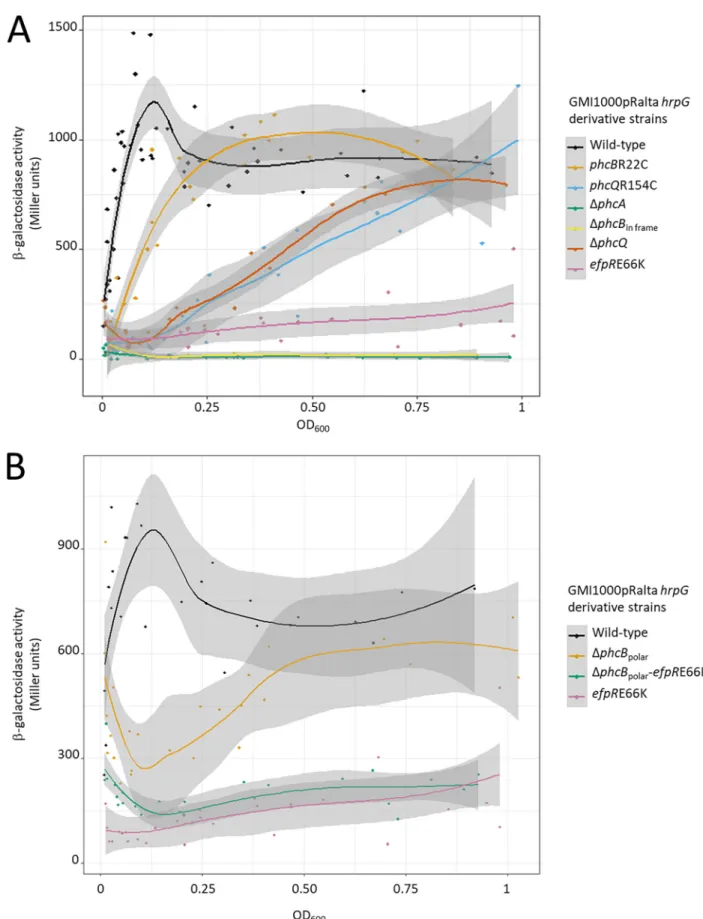 FIG 5 Kinetics of the pxpsR-lacZ expression in the chimeric R. solanacearum nodulating strain [GMI1000(pRalta) hrpG] and derivative mutants according to the OD 600 