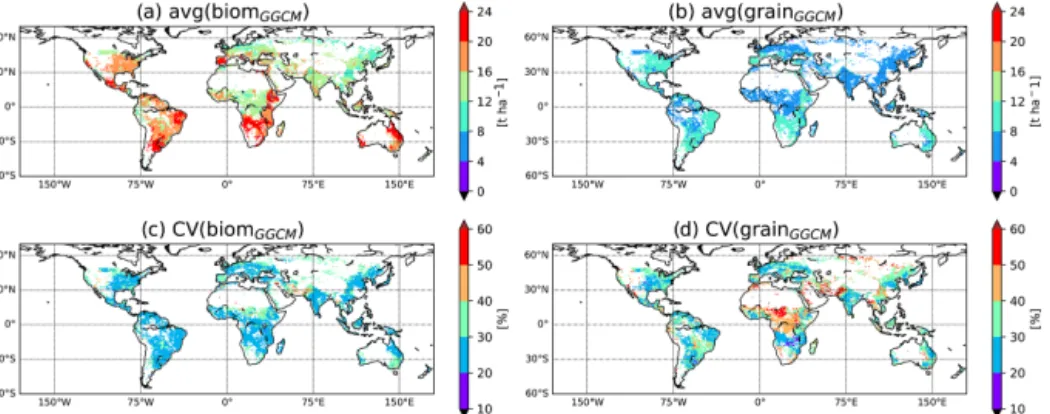 Figure 1. GGCM divergence in simulation of potential aboveground biomass and yield. Average and coefficient of variation for both above- above-ground biomass (biom) and yield (grain) computed among eight GGCMs used in the current analysis for simulations a