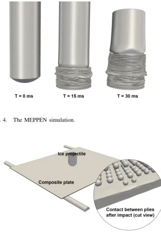 Fig. 4. The MEPPEN simulation.