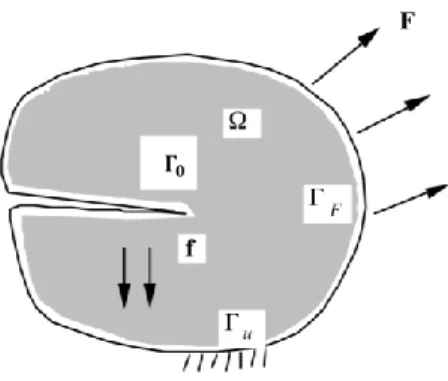 Figure 1 : solide élastique fissuré. 