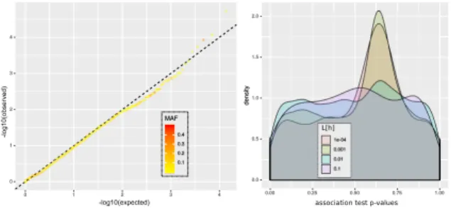 Fig. 4. (left) QQ-plot for p-values obtained for 13,942 haplotype associ- associ-ation tests using 1,756 linear model regressions; Color of points represent frequency ff of haplotypes