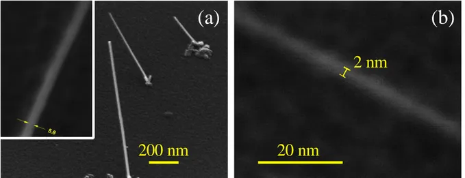 Figure 4 SEM images of SiNWs grown from gold colloid catalyst. (a) 5 nm gold colloids and, 