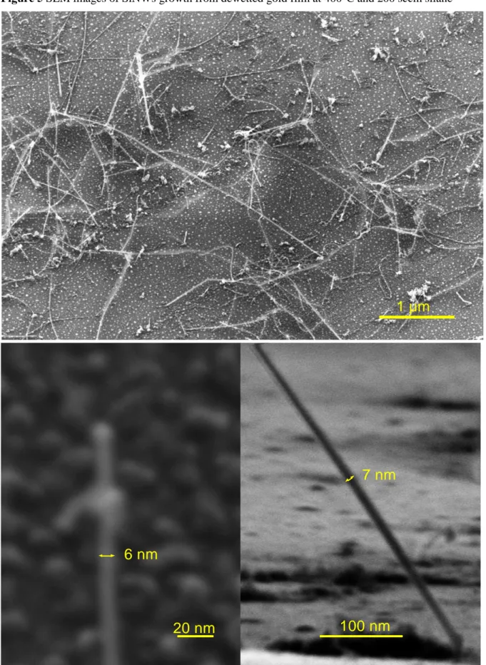 Figure 5 SEM images of SiNWs growth from dewetted gold film at 400°C and 200 sccm silane 20 nm 1 µm100 nm7 nm6 nm