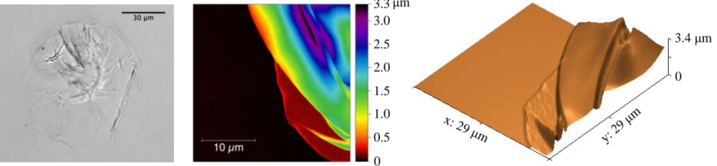 Fig. 2 Measurement of membrane thickness by AFM. Left: Optical microscopy of a dried microcapsule on a silicium wafer