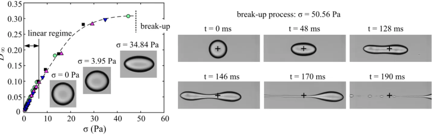 Fig. 8 Break-up of a chitosan / PFacidYN microcapsules in an elongation flow. Left: The steady-state Taylor parameter D ∞ increases non-linearly with the hydrodynamic stress σ above values of 0.1