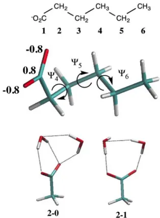 FIG. 1. Top: Labeling of carbon atoms in the carboxylates (bold characters). Middle: the most