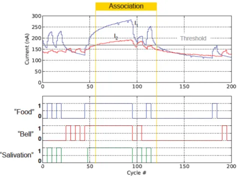 Figure 9: Dynamic associative learning: if no sustained activity is present at the  inputs, the association is lost