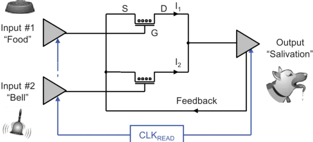 Figure  3:  Equivalent  electronic  circuit  for  the  associative  memory.  There  are  3  neurons  (Input  #1,  Input  #2  and  Output)  and  2  synapses/NOMFETs