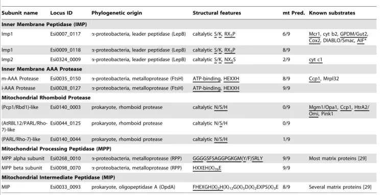 Table 4. Putative substrates of the Ectocarpus mitochondrial proteases.